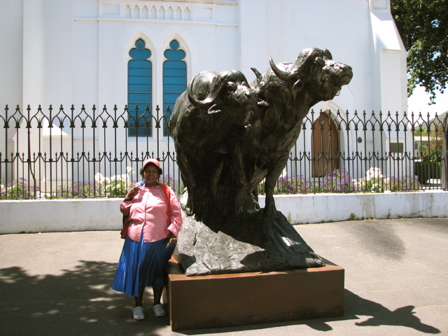 Buffalo at the Church