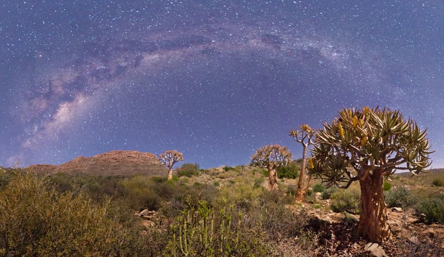 Galactic Arch (Image of the month)