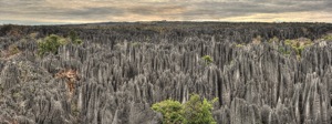Tsingy de Bemaraha, a forest of Limestone needles