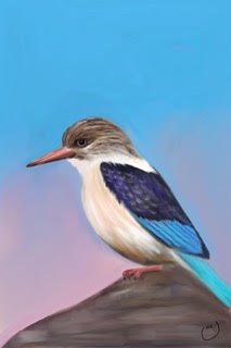 Brown-hooded  Kingfisher