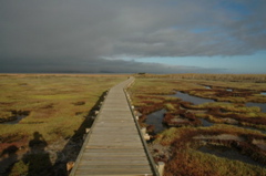 Boardwalk to one of the Geelbeck Hides
