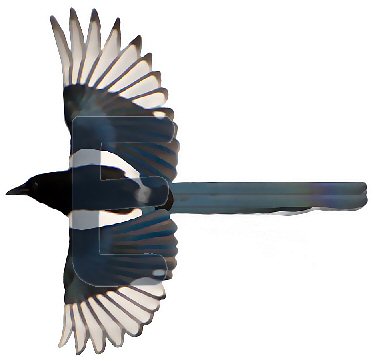 Ellen Elster, anklicken f�r Animation