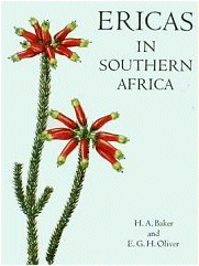 Ericas in Southern Africa