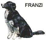 Fantastische Franzi