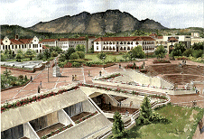 University of Stellenbosch