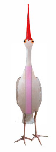 Iris Ibis, anklicken f�r Animation