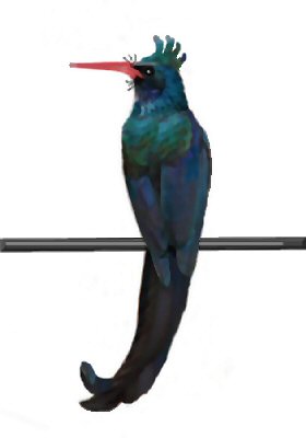 Jojo Jodelbartvogel, anklicken f�r Animation