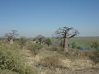 An der Grenze nach Botswana