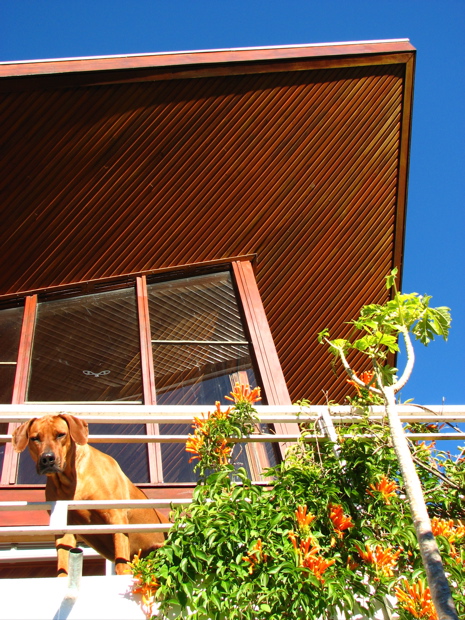 Wotan on the balcony