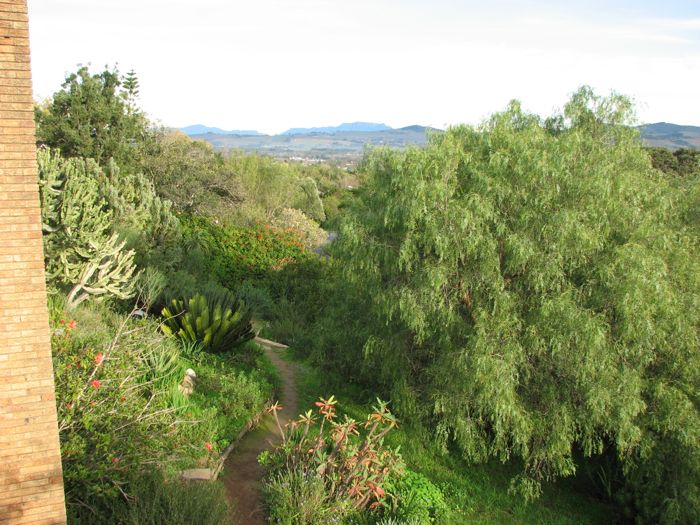 View of Table Mountain