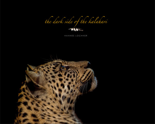 The Dark Side of the Kalahari