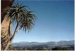 View of Table Mountain