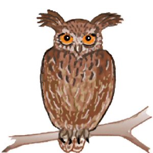 Udo Uhu, anklicken f�r Animation