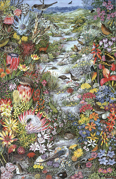 Painting by Jeanette Loedolff