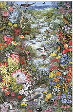 Painting by Jeanette Loedolff