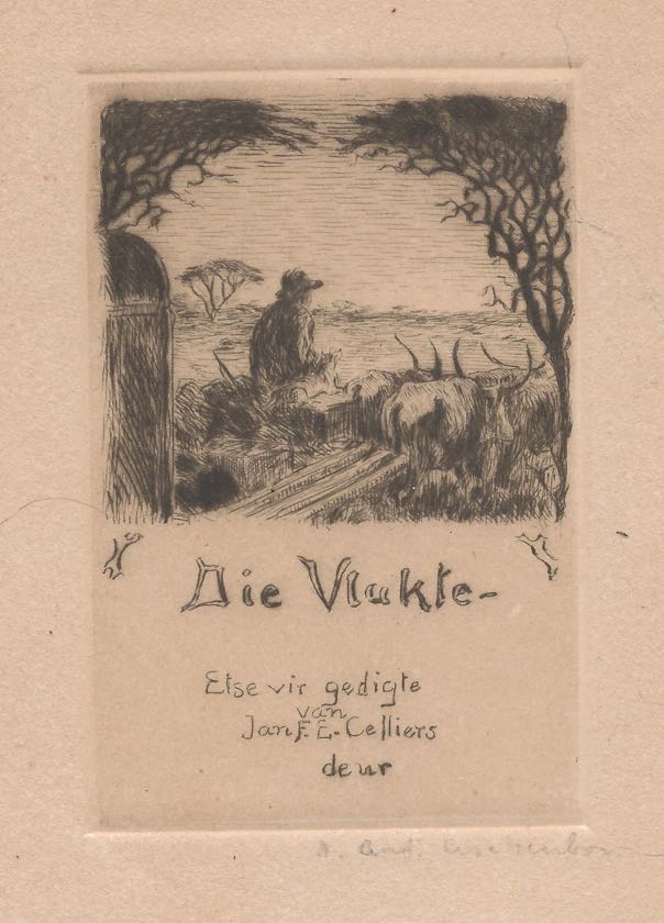 Die Vlakte